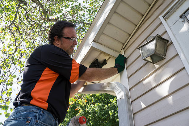 Demolition Debris Removal in Port St Joe, FL